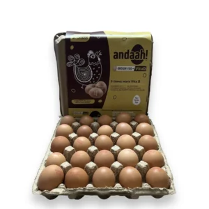 Andaah Brown Egg + Vita D 25's Pack - Image 3