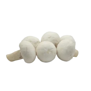 Buy Button Mushrooms Online