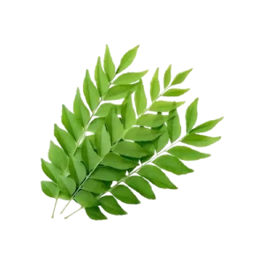 Buy Curry Leaves Online