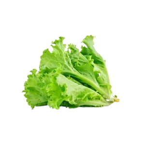 Buy Green Lettuce Online