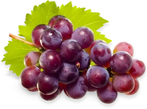 Buy Red Grapes Online