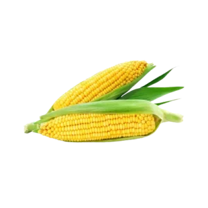 Buy Sweet Corn Online