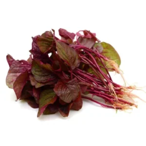 Buy Amaranthus Online